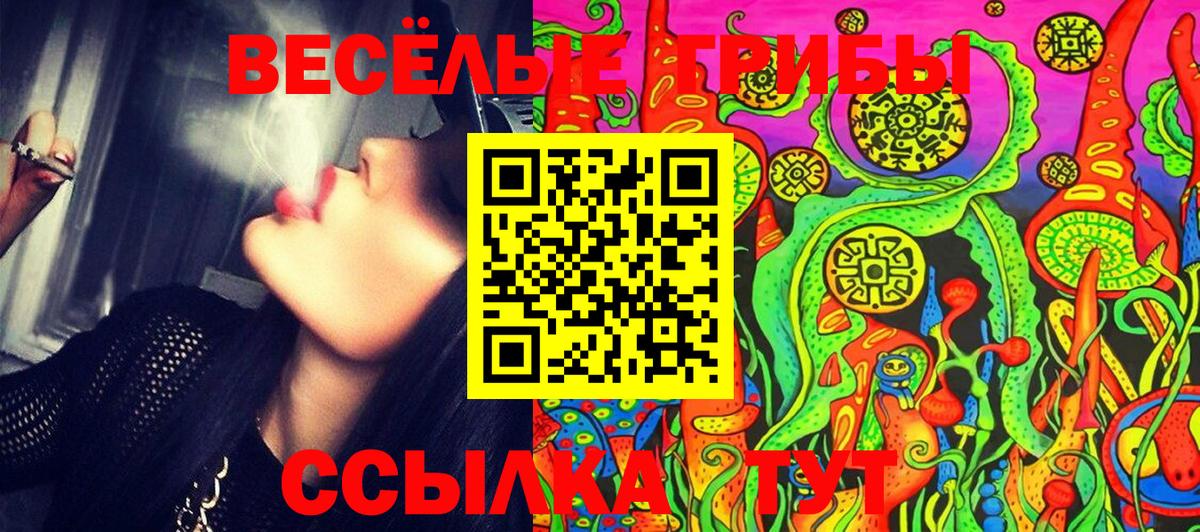 Шахты  Галлюциногенные грибы Psilocybine cubensis  Вход с VPN 