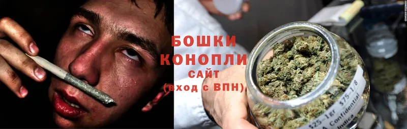 Марихуана OG Kush  Шахты 